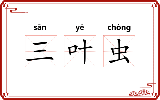 三叶虫
