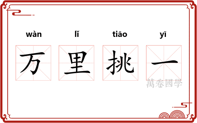 万里挑一