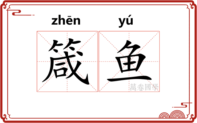 箴鱼