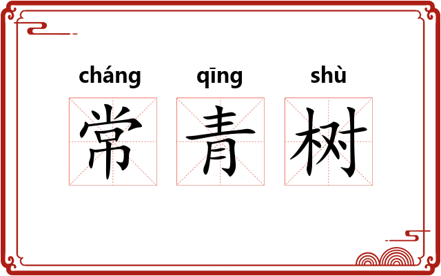 常青树
