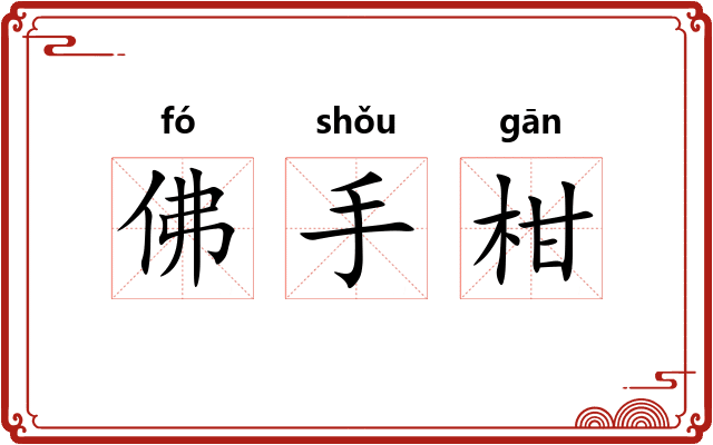 佛手柑 佛手柑