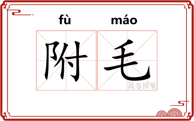 附毛 附毛