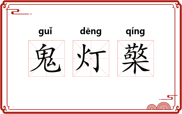 鬼灯檠 鬼灯檠
