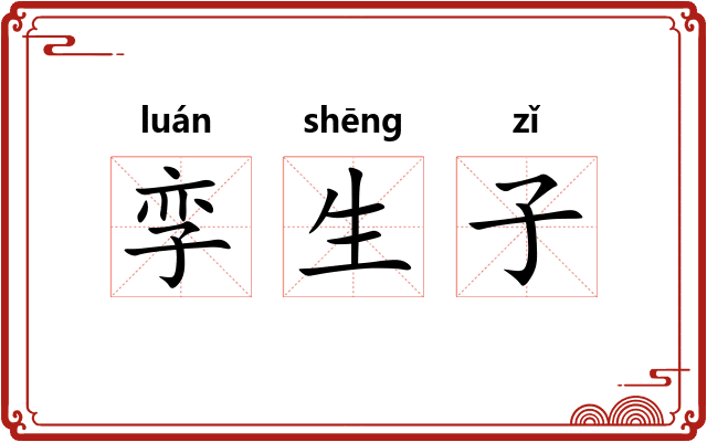 孪生子 孪生子