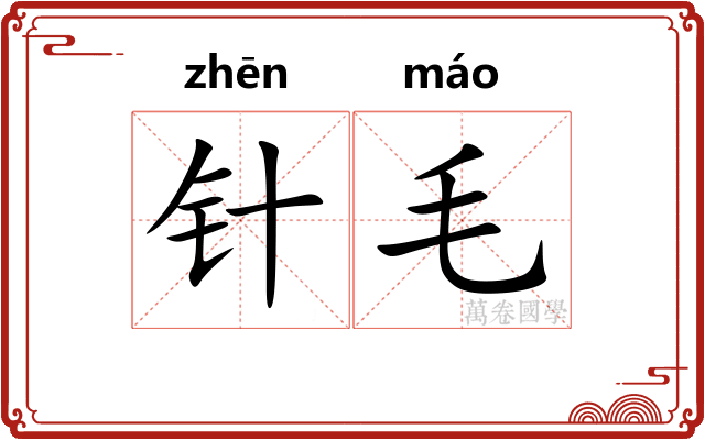 针毛