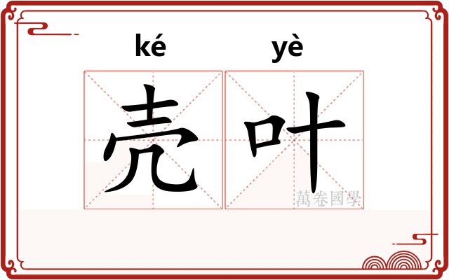 壳叶