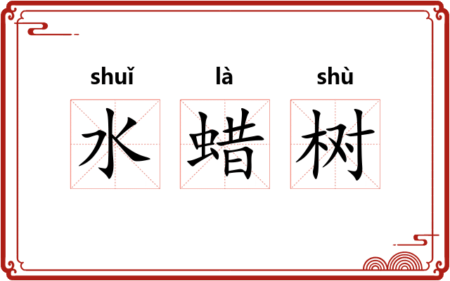 水蜡树