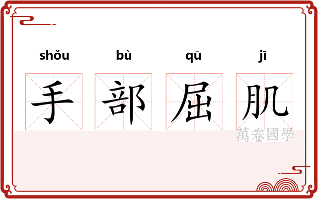 手部屈肌 手部屈肌