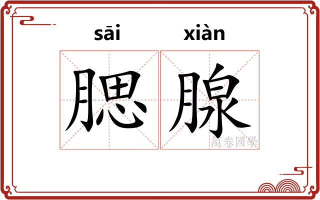 腮腺