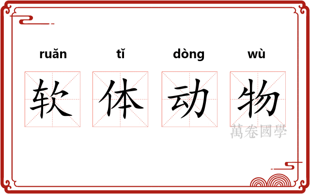 软体动物
