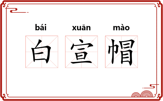 白宣帽 白宣帽
