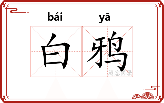 白鸦