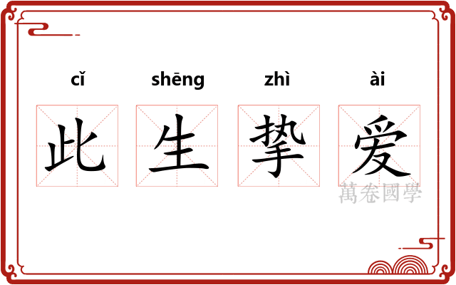此生挚爱