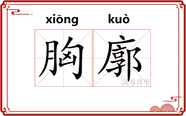 胸廓