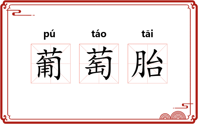 葡萄胎 葡萄胎