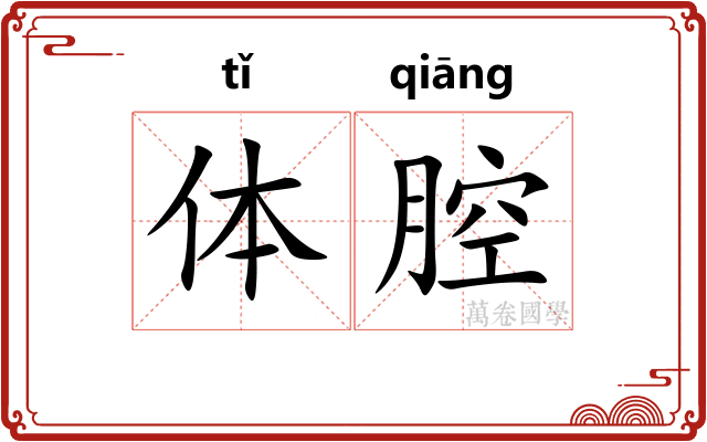 体腔 体腔