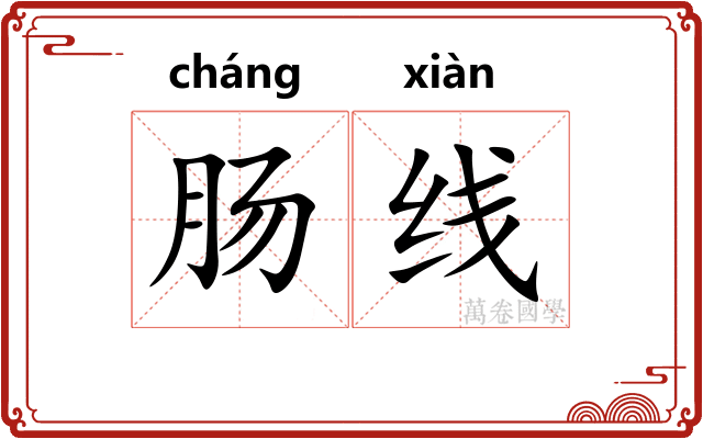 肠线