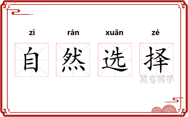 自然选择