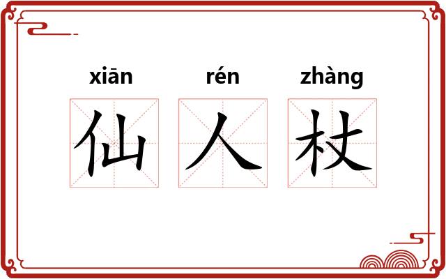 仙人杖