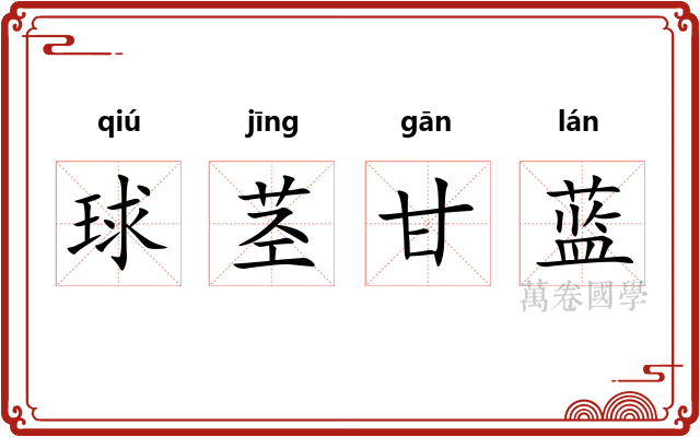 球茎甘蓝