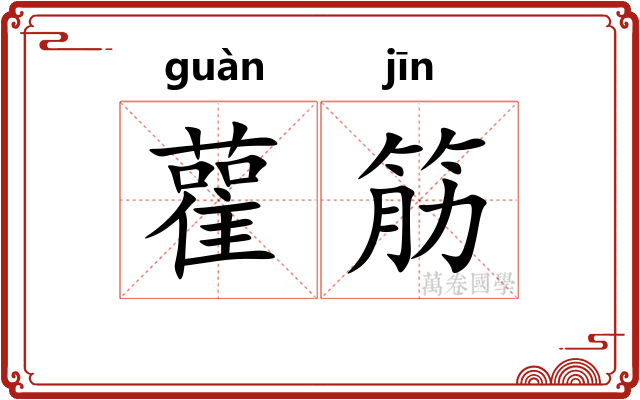 雚筋
