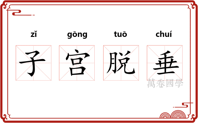 子宫脱垂 子宫脱垂