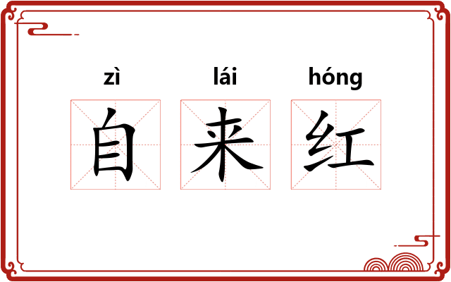 自来红