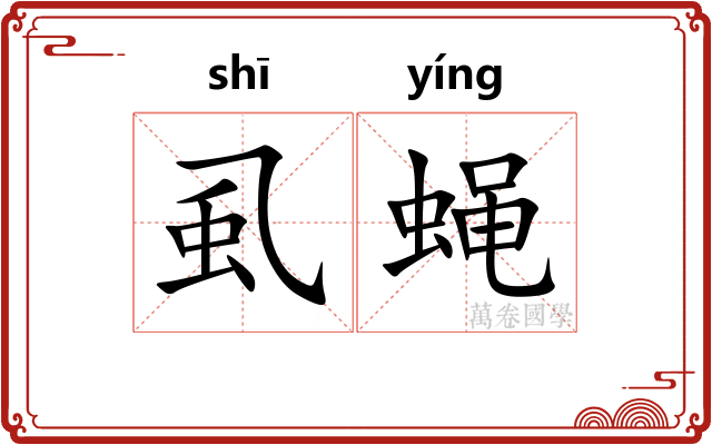 虱蝇