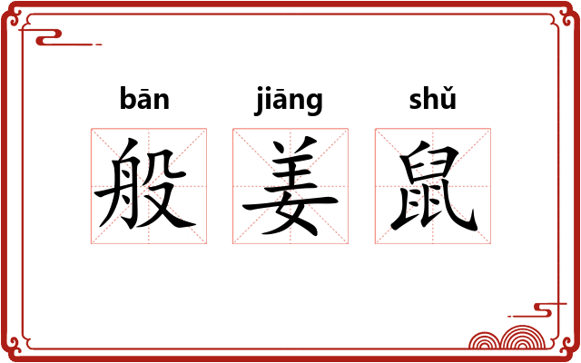 般姜鼠