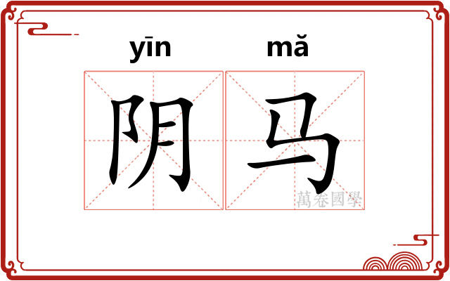 阴马