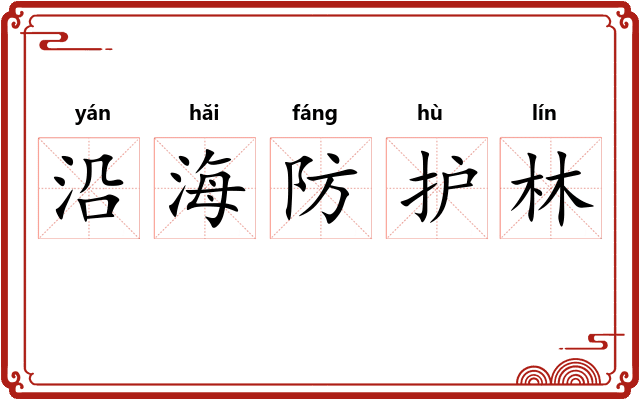 沿海防护林