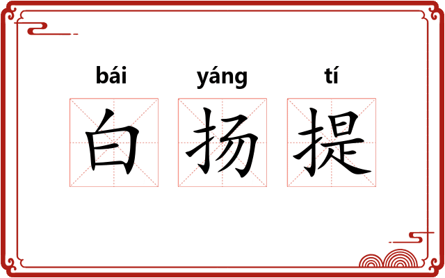 白扬提