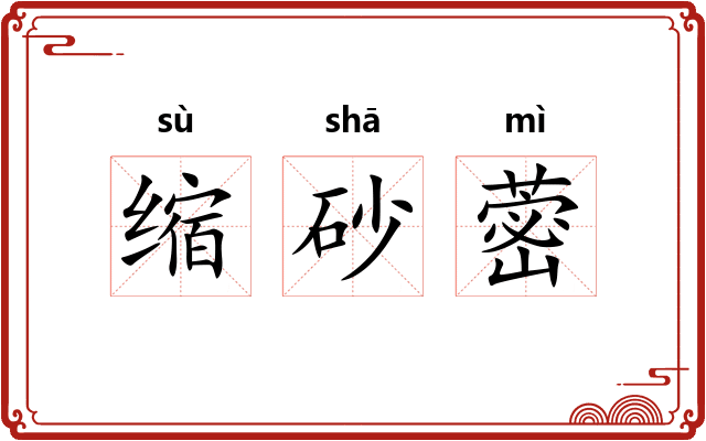 缩砂蔤 缩砂蔤