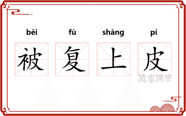 被复上皮
