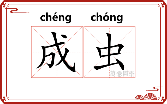 成虫 成虫