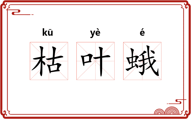枯叶蛾 枯叶蛾