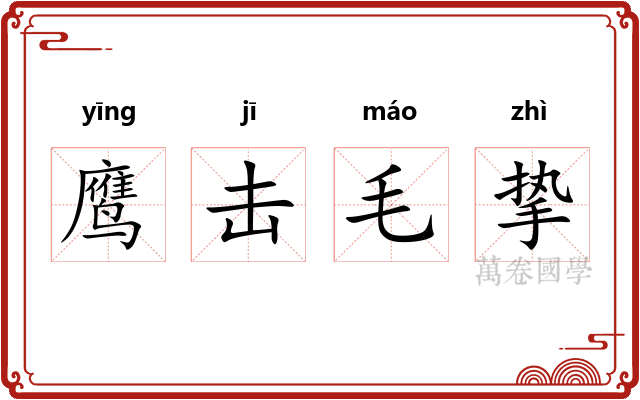 鹰击毛挚