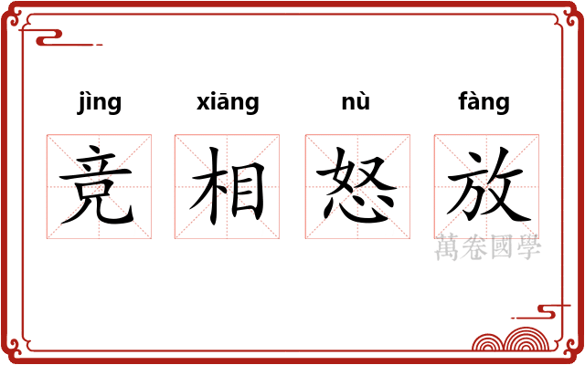 竞相怒放