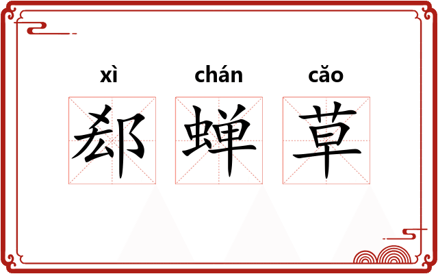 郄蝉草