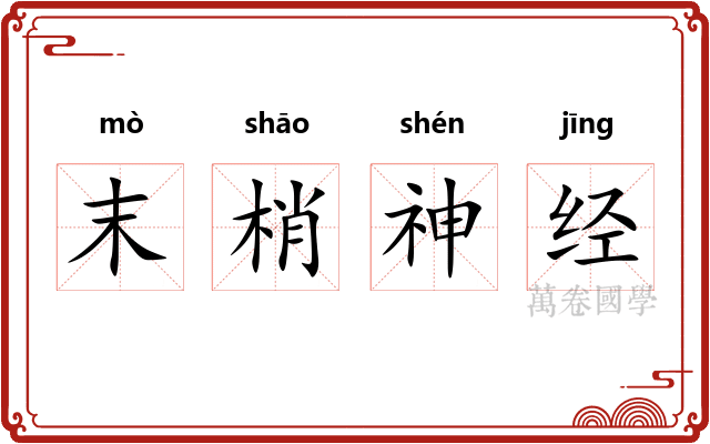 末梢神经