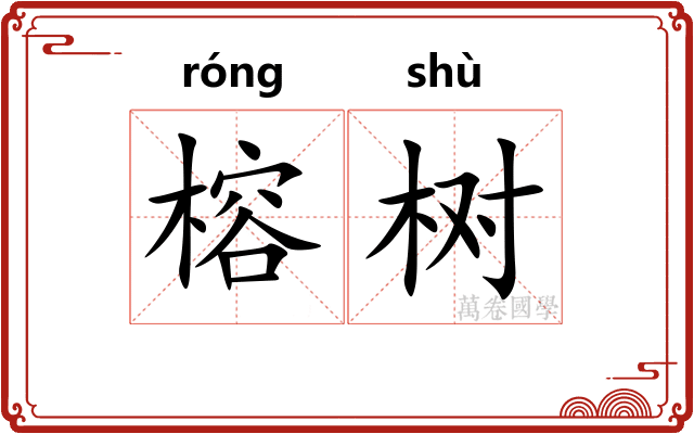 榕树 榕树
