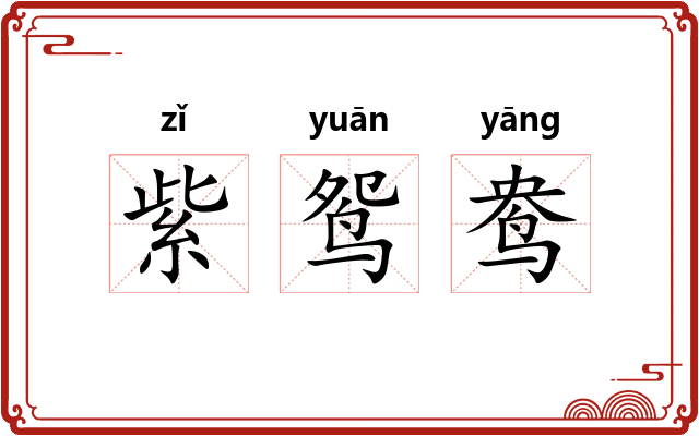 紫鸳鸯