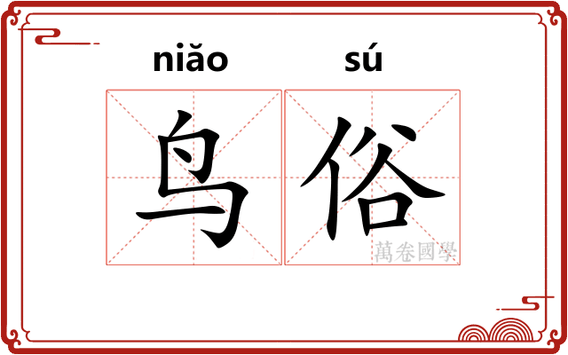 鸟俗