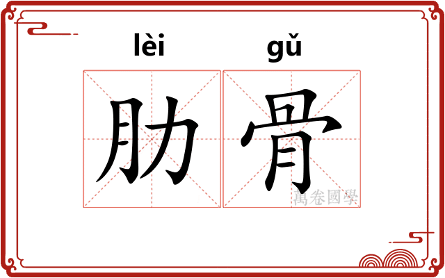 肋骨 肋骨