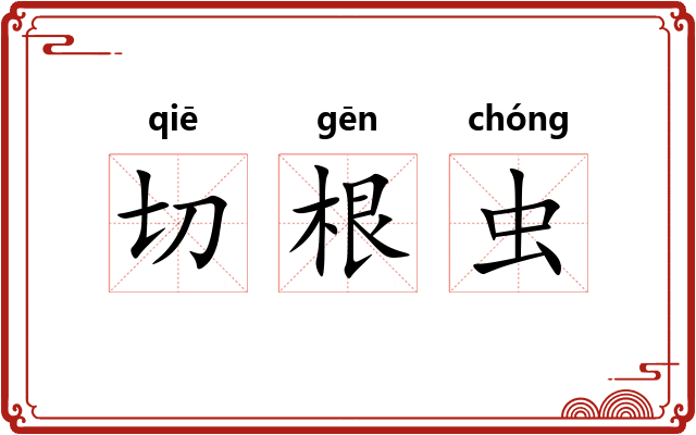 切根虫
