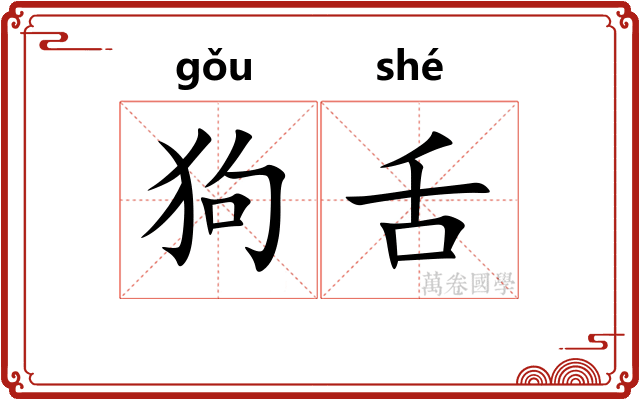 狗舌 狗舌