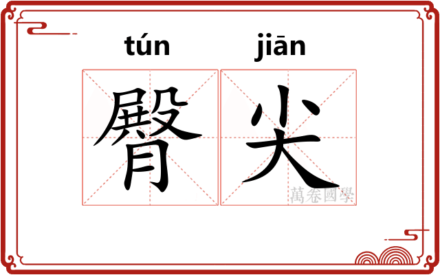 臀尖
