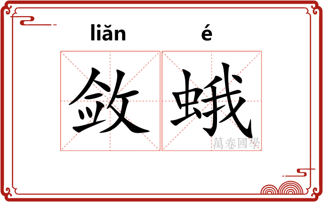 敛蛾