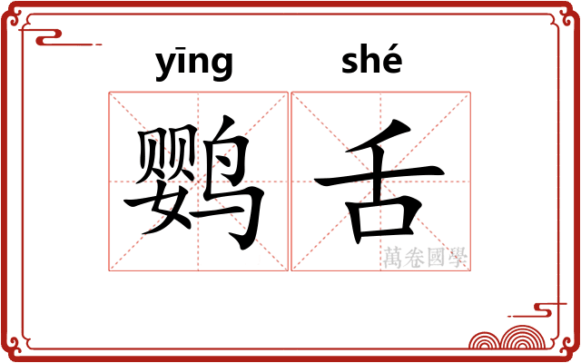 鹦舌