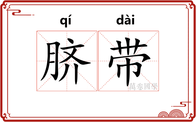 脐带 脐带